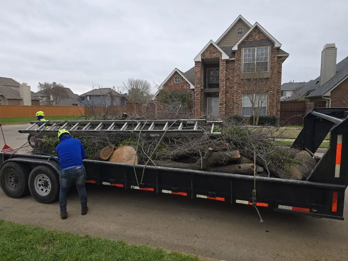 Expert Lot Clearing with proper safety equipment in Mershon